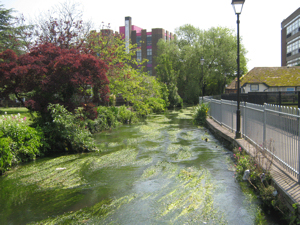 Dour looking downstream with the further education College on the left. LS
