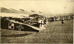 German Planes from The People's War Book (1919) Wikimedia Commons
