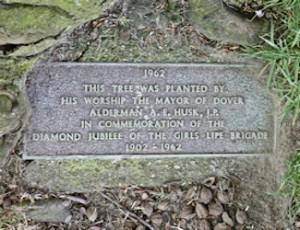 Girls Life Brigade Diamond Jubilee commemorative copper beach tree and plaque presented in 1962 in Pencester Gardens. Alan Sencicle
